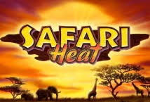 mega888 safari heat